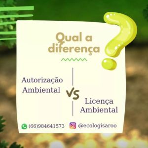 Read more about the article Autorização x Licença Ambiental