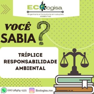 Read more about the article Tríplice Responsabilidade Ambiental